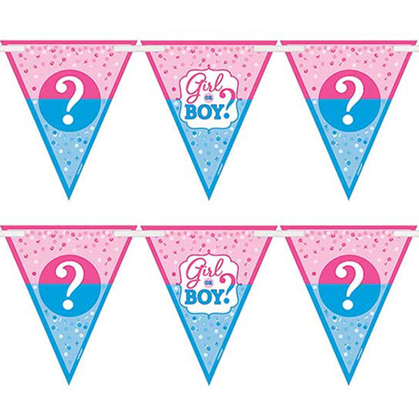 Gender Reveal Party Bunting