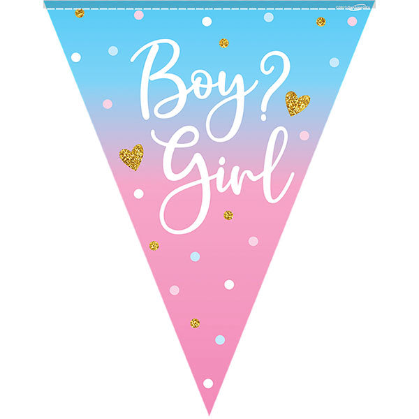 Boy Or Girl Gender Reveal Party Bunting