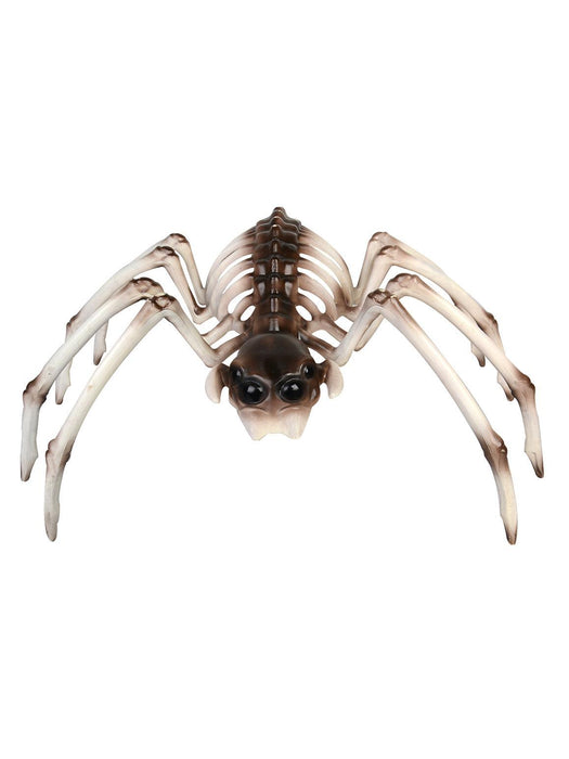 Spider Skeleton Prop